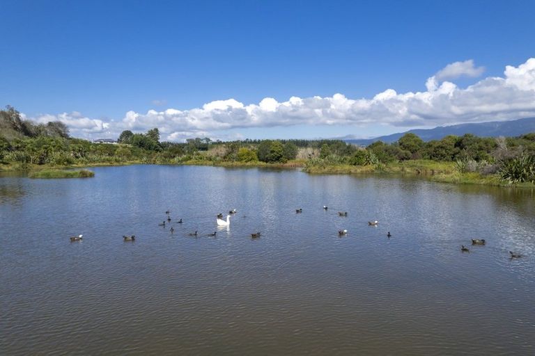Photo of property in 2195d State Highway 2, Aongatete, Katikati, 3181