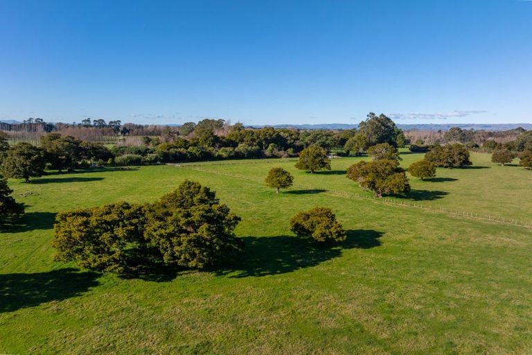 Photo of property in 151 Humphries Street, Woodside, Greytown, 5794