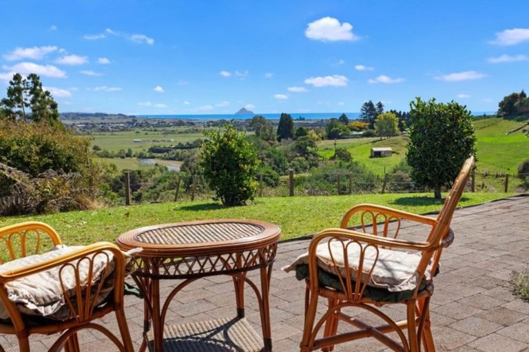 Photo of property in 306 Tablelands Road, Tirohanga, Opotiki, 3197