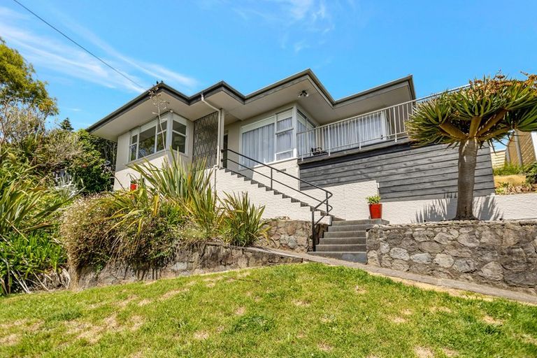 Photo of property in 155 Vivian Street, New Plymouth, 4310