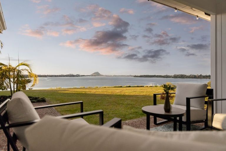 Photo of property in 15 Mersea Place, Maungatapu, Tauranga, 3112