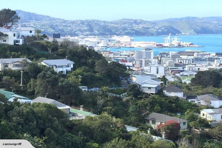 Photo of property in 24b Connaught Terrace, Brooklyn, Wellington, 6021