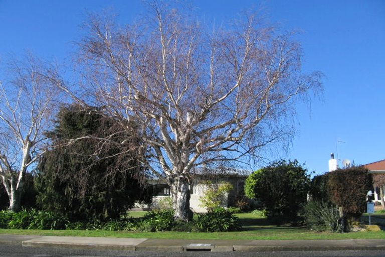 Photo of property in 206 Lumsden Road, Akina, Hastings, 4122