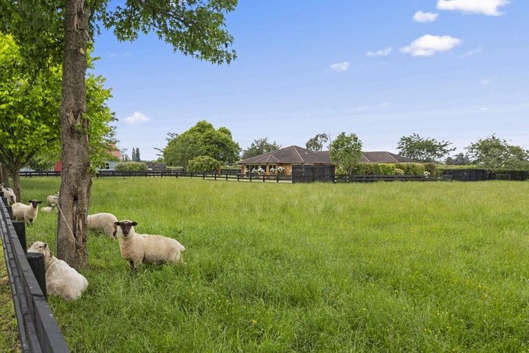 Photo of property in 37 Norrish Road, Ohaupo, 3881