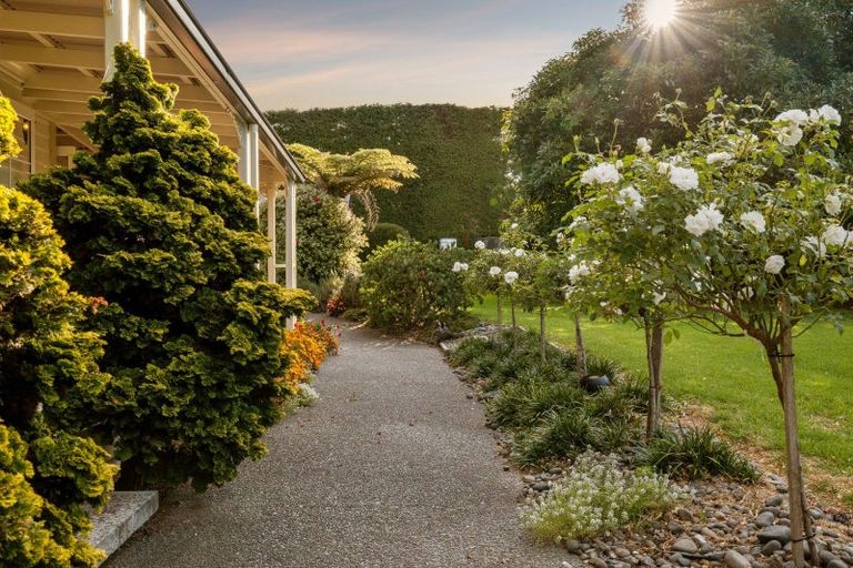 Photo of property in 241 Rea Road, Tahawai, Katikati, 3178