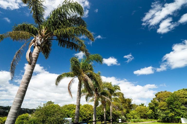 Photo of property in 18a Coutts Avenue, Paihia, 0200