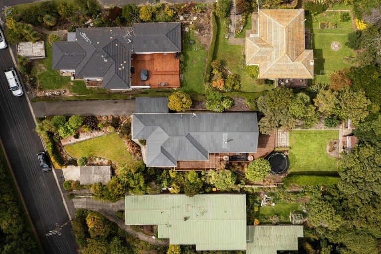 Photo of property in 50 Every Street, Andersons Bay, Dunedin, 9013