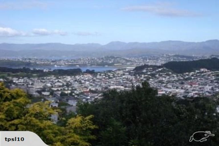 Photo of property in 167 Washington Avenue, Brooklyn, Wellington, 6021