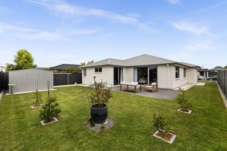 Photo of property in 42 Lochhead Street, Mahora, Hastings, 4120