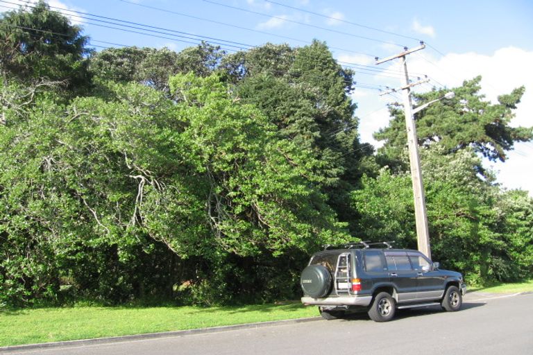 Photo of property in 75 Paterson Street, Mount Maunganui, 3116