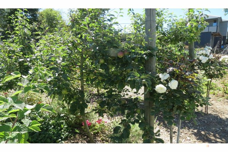 Photo of property in 36 Archer Street, Parkside, Timaru, 7910