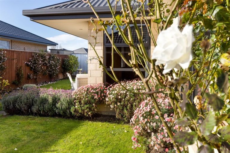 Photo of property in 2 Korari Grove, Redwoodtown, Blenheim, 7201