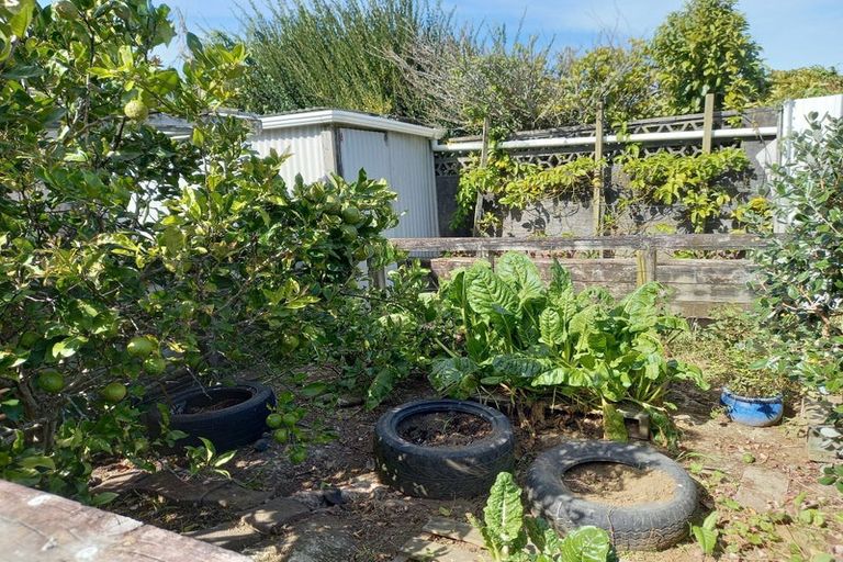 Photo of property in 446 Carrington Street, Upper Vogeltown, New Plymouth, 4310