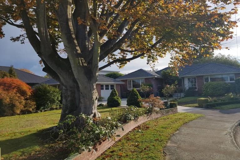 Photo of property in 46 Gleneagles Terrace, Ilam, Christchurch, 8053