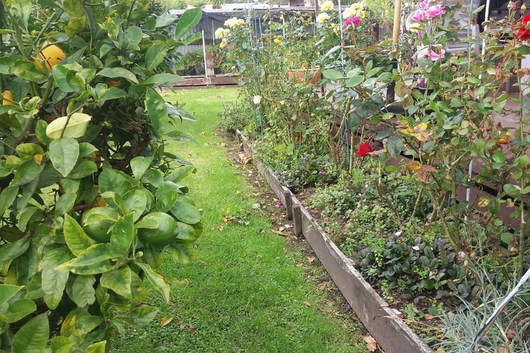 Photo of property in 15 Kiwi Street, Whakatane, 3120