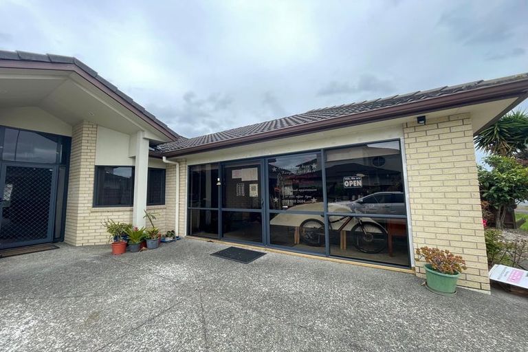 Photo of property in 311 Chapel Road, Flat Bush, Auckland, 2016