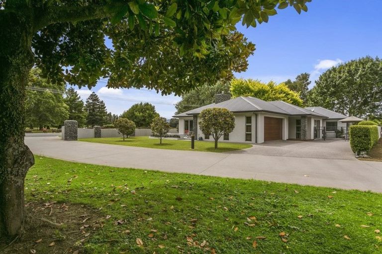 Photo of property in 82 Peria Road, Matamata, 3400