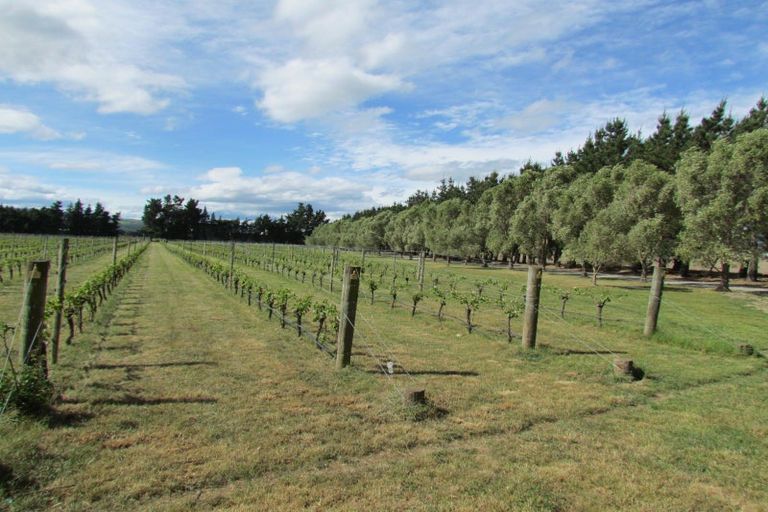 Photo of property in 246 Georges Road, Glasnevin, Amberley, 7482