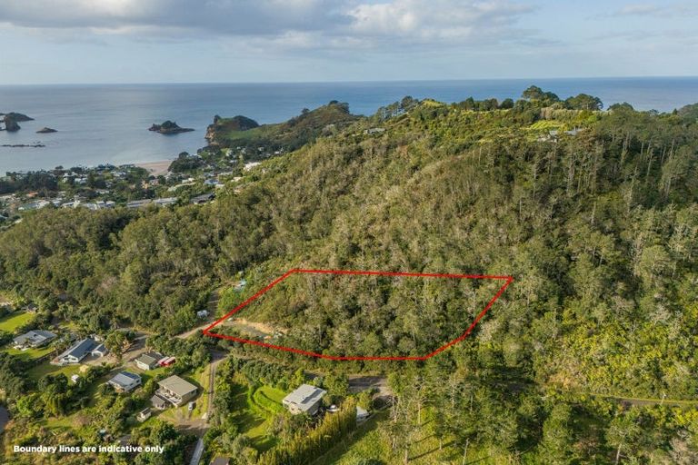 Photo of property in 25 Orchard Road, Hahei, Whitianga, 3591