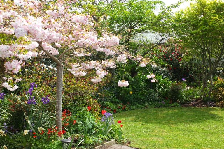 Photo of property in 178a Morgans Road, Marchwiel, Timaru, 7910