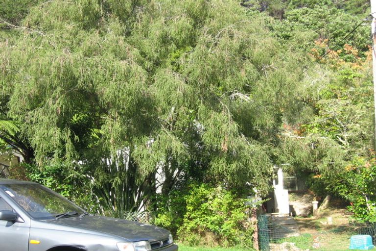 Photo of property in 126 Manuka Street, Stokes Valley, Lower Hutt, 5019