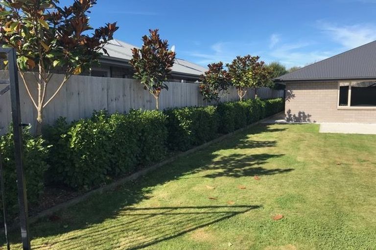 Photo of property in 22 Larne Place, Belfast, Christchurch, 8051