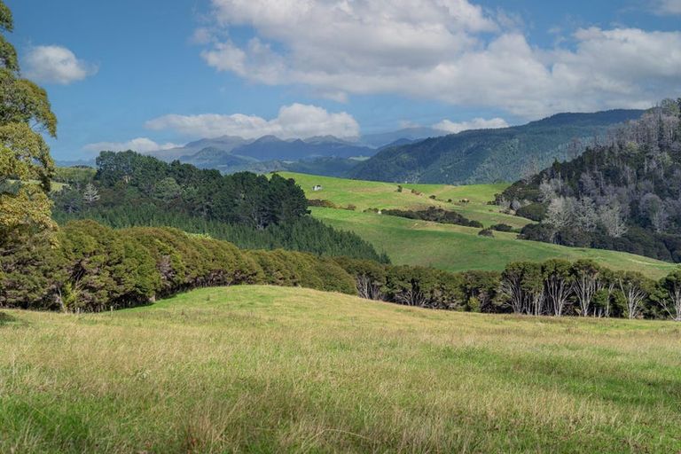 Photo of property in 425n Boat Harbour Road, Whenuakite, Whitianga, 3591