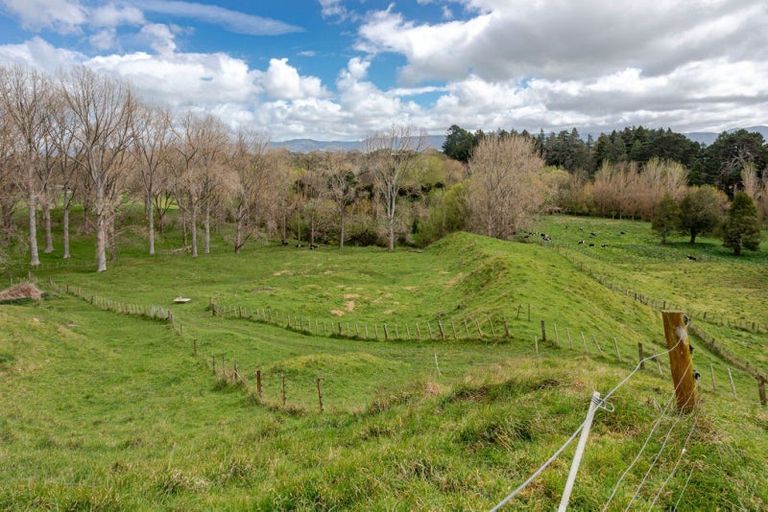 Photo of property in 185a Tipapakuku Road, Dannevirke, 4930