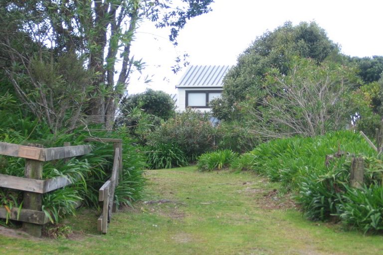 Photo of property in 124 Mangakahia Drive, Whangapoua, Coromandel, 3582