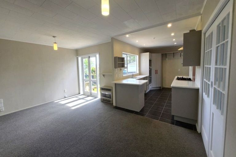 Photo of property in 24 Orr Crescent, Hutt Central, Lower Hutt, 5011
