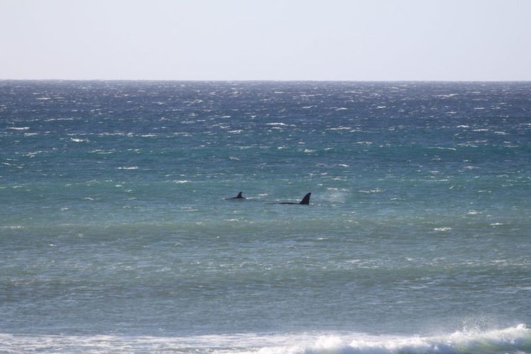 Photo of property in 249 Lower Puniho Road, Warea, New Plymouth, 4381