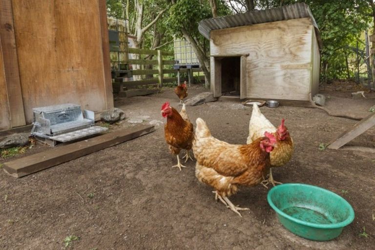 Photo of property in 357 Turitea Road, Turitea, Palmerston North, 4472