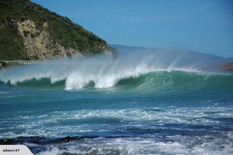 Photo of property in 203 Houghton Bay Road, Houghton Bay, Wellington, 6023