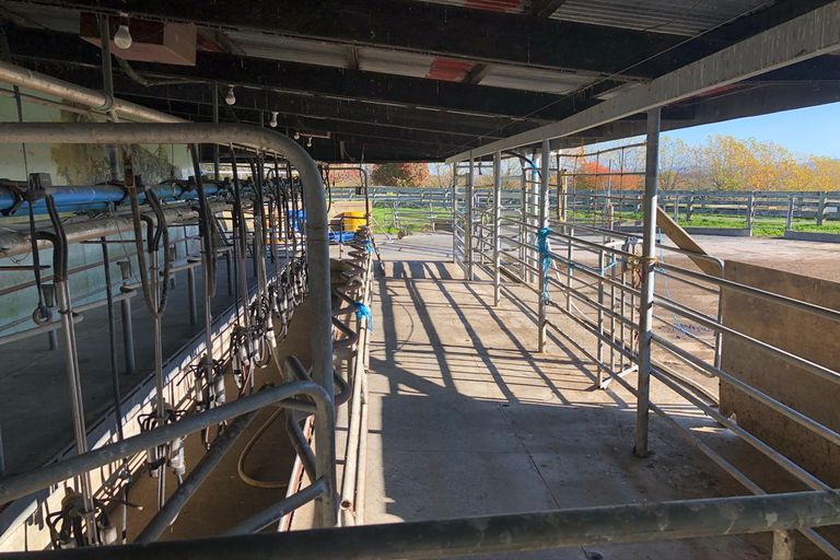 Photo of property in 34 Taihoa Road North, Matamata, 3473