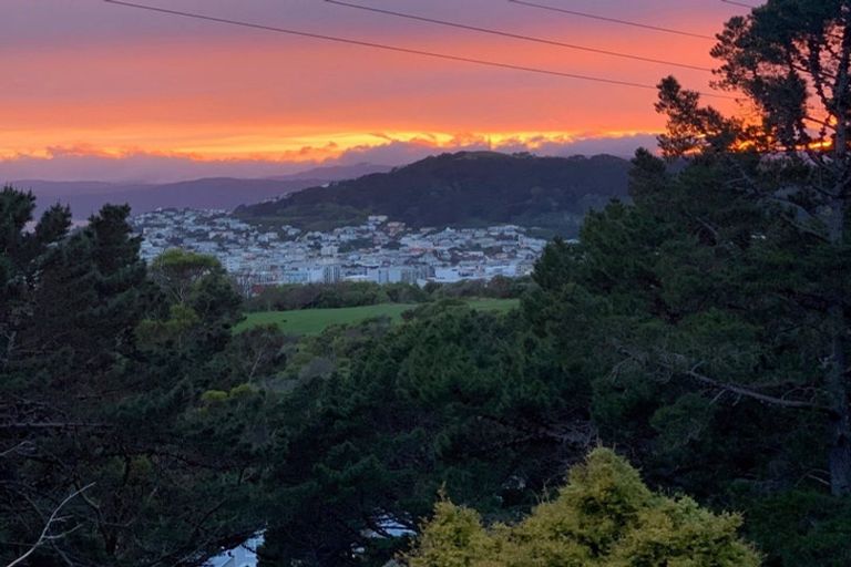 Photo of property in 43 Mortimer Terrace, Brooklyn, Wellington, 6021