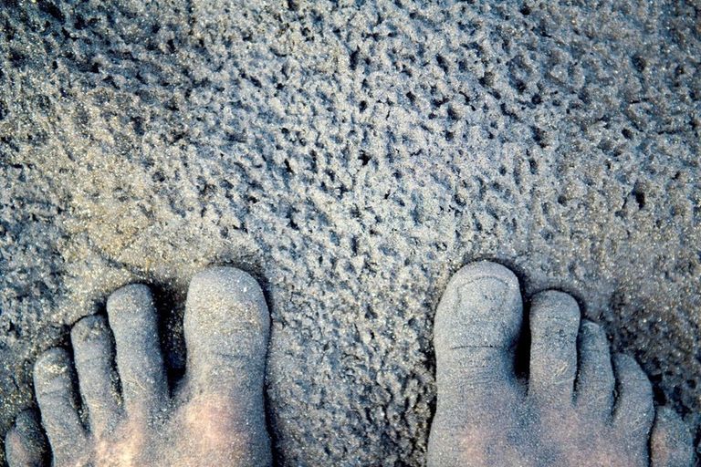 Photo of property in 193 Buffalo Beach Sh25 Road, Whitianga, 3592