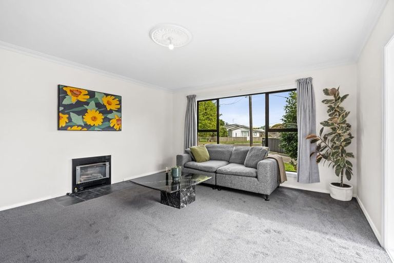 Photo of property in 158 Winchester Street, Levin, 5510