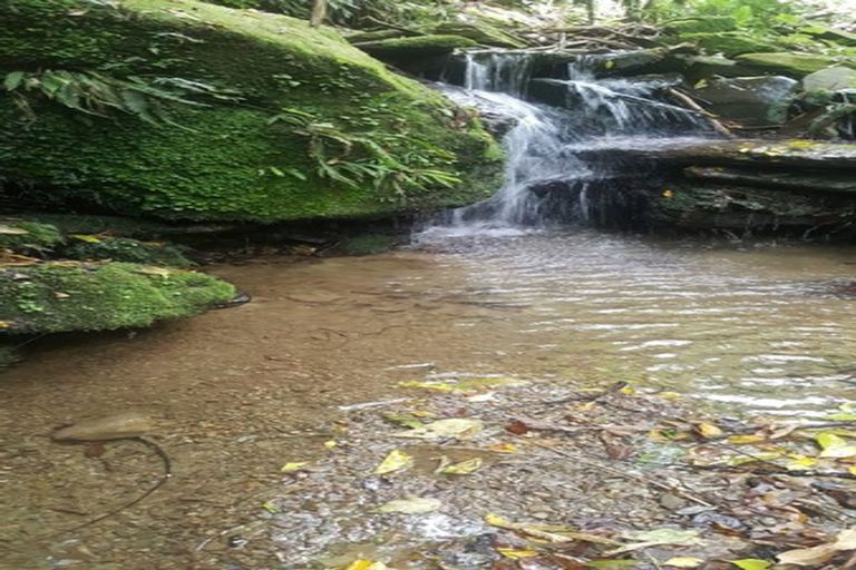 Photo of property in 59 Tirimoana Terrace, Anakiwa, Picton, 7281