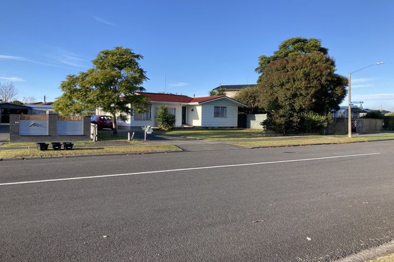 Photo of property in 60 Leicester Avenue, Tamatea, Napier, 4112