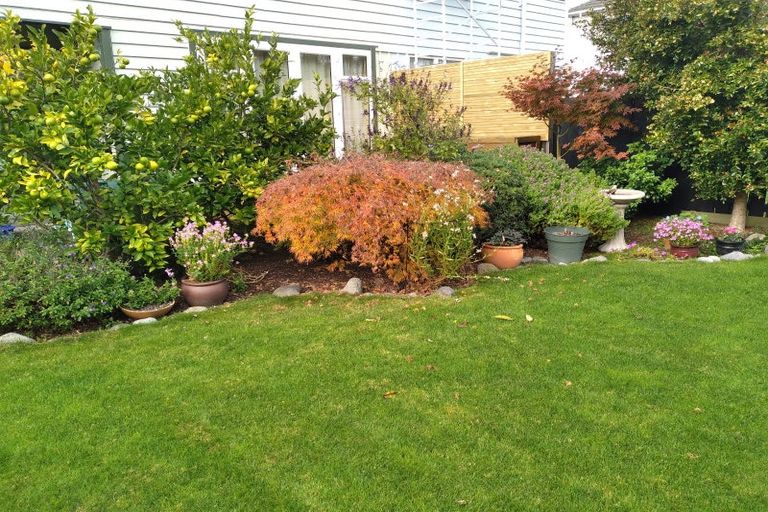 Photo of property in 356 Cambridge Terrace, Naenae, Lower Hutt, 5011