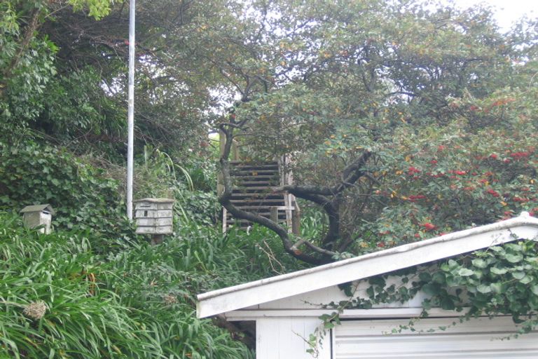 Photo of property in 9 Havelock Terrace, Hospital Hill, Napier, 4110