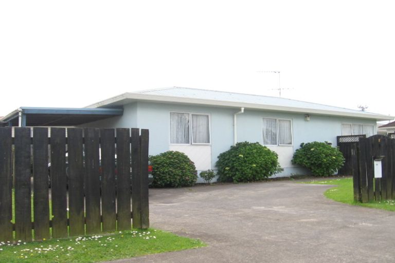 Photo of property in 213 Puhinui Road, Papatoetoe, Auckland, 2025
