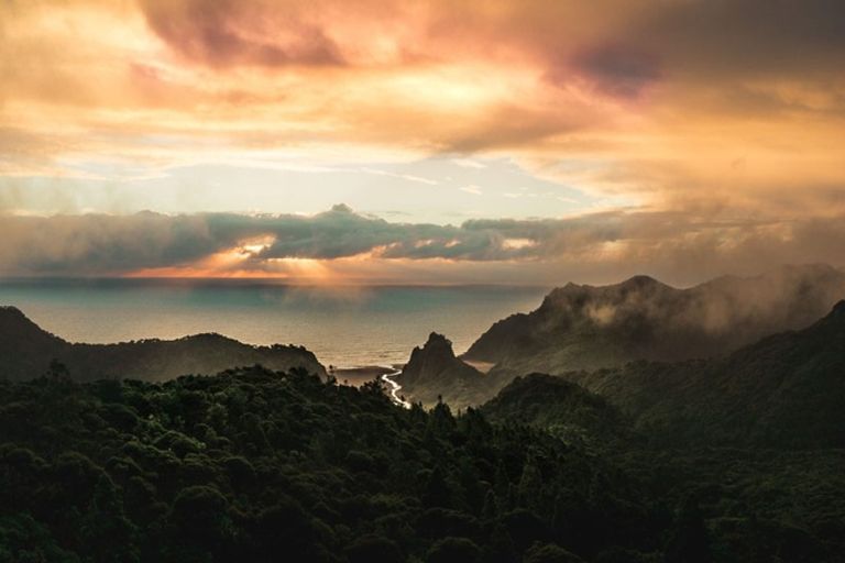 Photo of property in 128 Lone Kauri Road, Karekare, Auckland, 0772