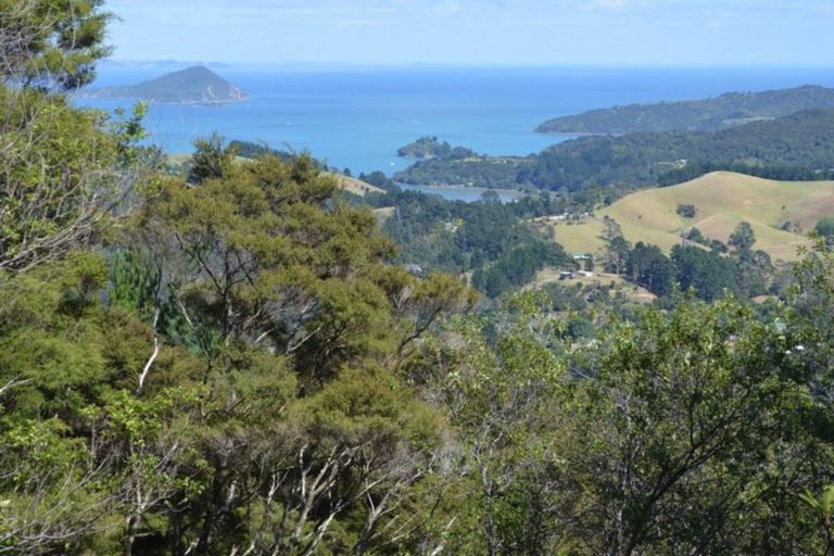 Photo of property in 1455 Buffalo Road, Coromandel, 3506
