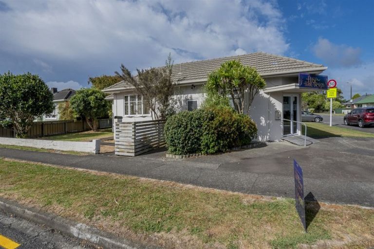 Photo of property in 41 York Street, Levin, 5510