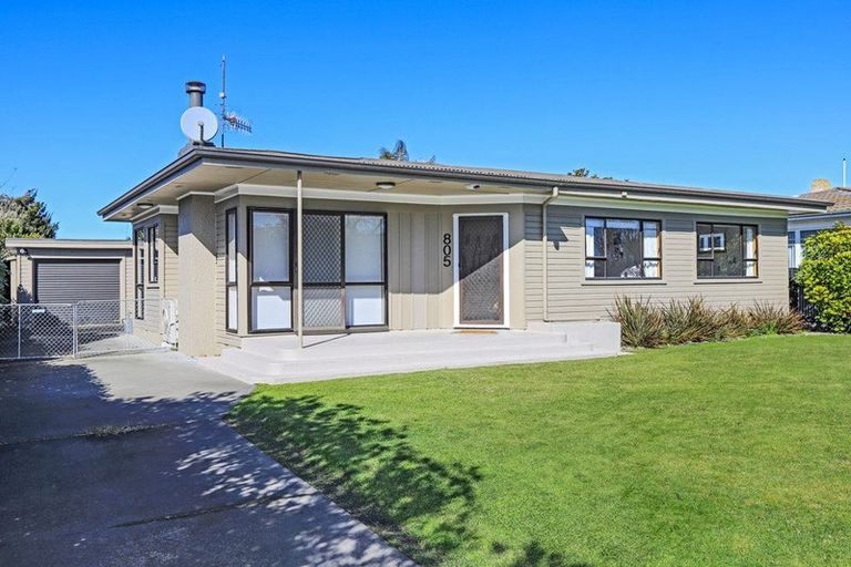 Photo of property in 805 Rimu Street, Mahora, Hastings, 4120