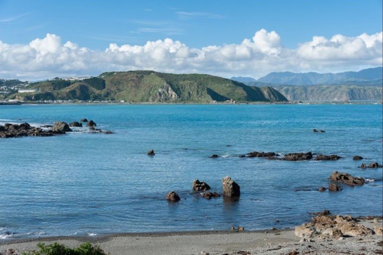 Photo of property in 3/422 Queens Drive, Lyall Bay, Wellington, 6022