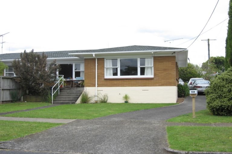 Photo of property in 12a Blair Avenue, Pukekohe, 2120