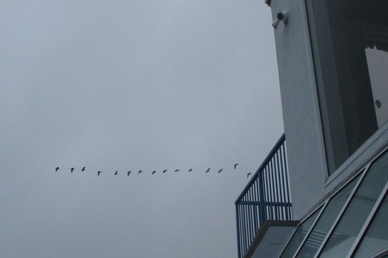 Photo of property in 65 Hillview Road, Birdlings Flat, Little River, 7591