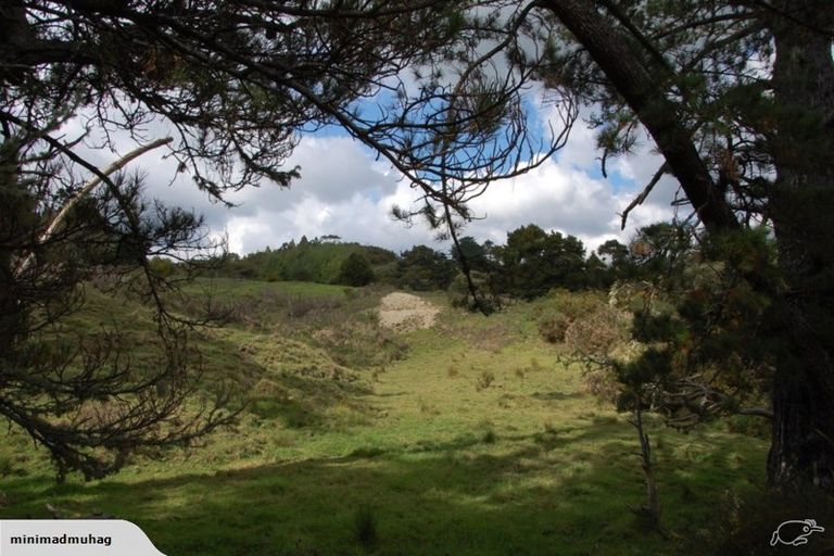 Photo of property in 229 Settlement Road, Kaiwaka, 0573